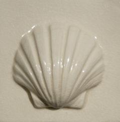 scallop tile, hand made tile, scallop shell tile, ceramic scallop tile, Nantucket scallop, Nantucket scallop tile.